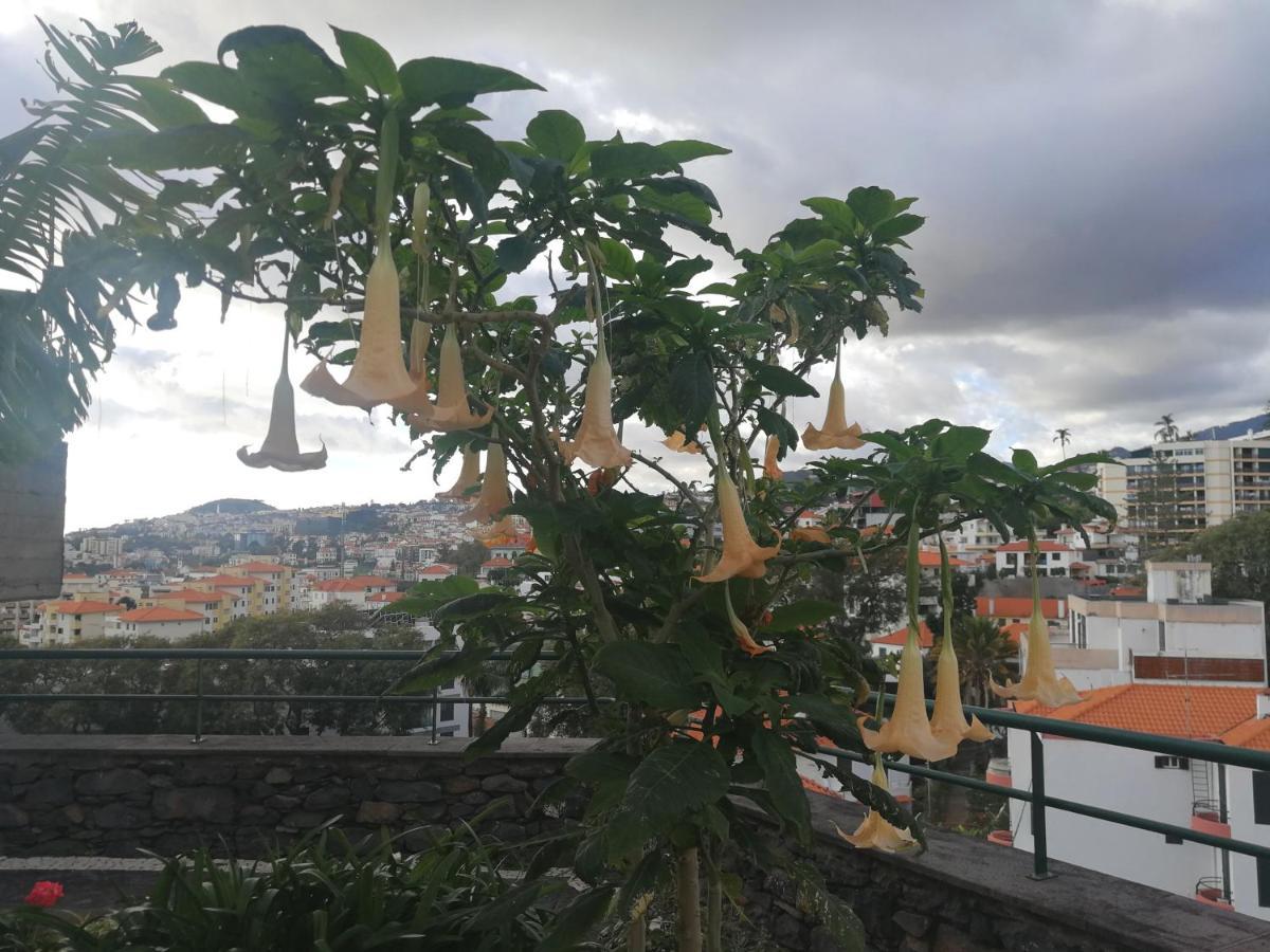 Casa Vanday Funchal  Kültér fotó